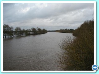 crue 2003 5