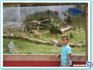 Ete 2009 (12)