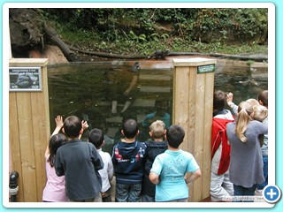 Ete 2009 (13)