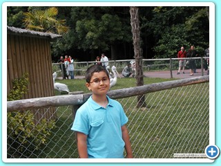 Ete 2009 (17)