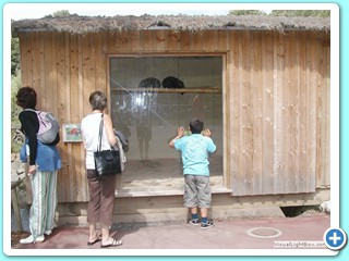 Ete 2009 (18)