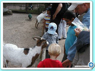 Ete 2009 (20)