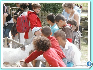 Ete 2009 (21)