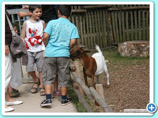 Ete 2009 (22)