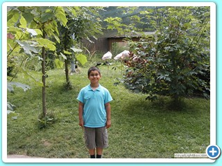 Ete 2009 (23)