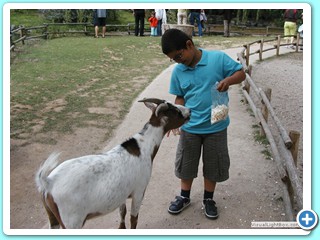 Ete 2009 (24)
