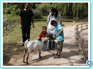 Ete 2009 (25)