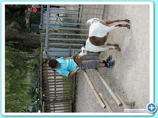 Ete 2009 (26)