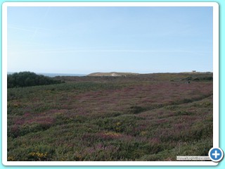 Ete 2009 (49)