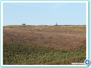 Ete 2009 (50)