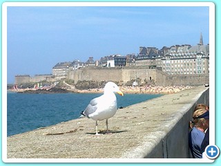 Juillet 2013 (43)