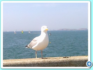Juillet 2013 (44)