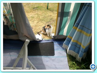 Juillet 2013 (60)