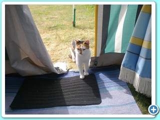 Juillet 2013 (61)